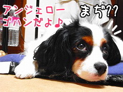 まぢ?