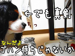 ちっ