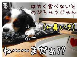 ぐるぐる