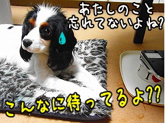 不安
