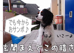 はやくぅ