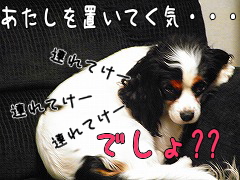 ・・・いじいじ