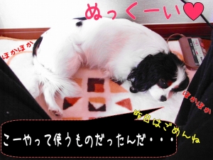Àµ¤·¤¤»ÈÍÑÊýË¡
