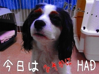 ¤ªÃΤ餻