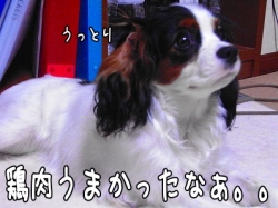 ¤¦¤Ã¤È¤ê