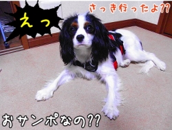 えっ