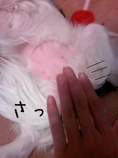 ޷ެޝ¢ö(*ŽÉ§ÕŽÉ)