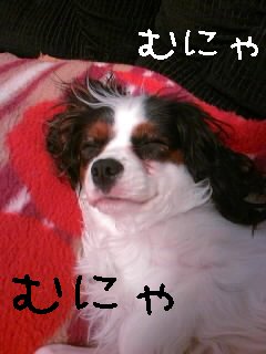 ¿²¤ë¥³¤Ï¡¦¡¦¡¦