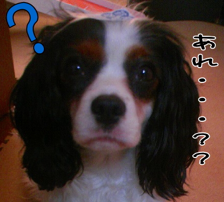 ¤Ê¤ó¤«¤µ