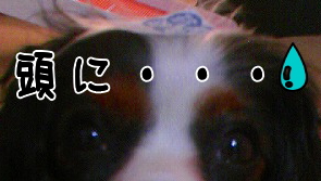 (¡-¢Ï-¡®¡¨