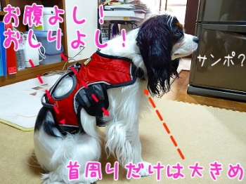 なの?