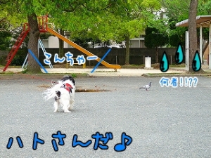 こんちは