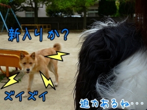 ズイズイ