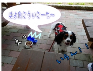 ぽいっ