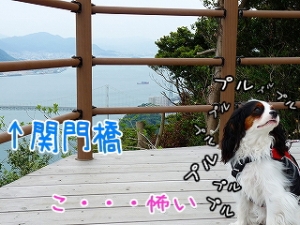 絶景〜♪