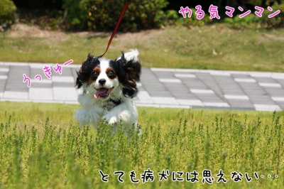 うっきゅー