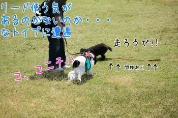 といぷ