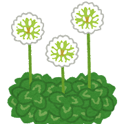 週刊カタツムリ