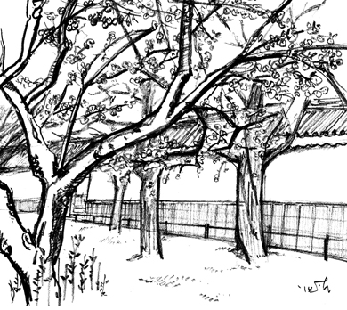 (C)2014 さくらいはじめ