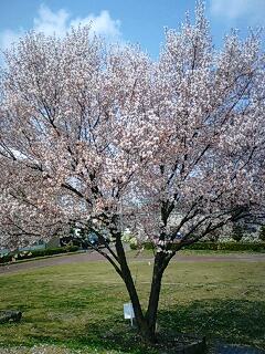 090401_1110~0001.jpg