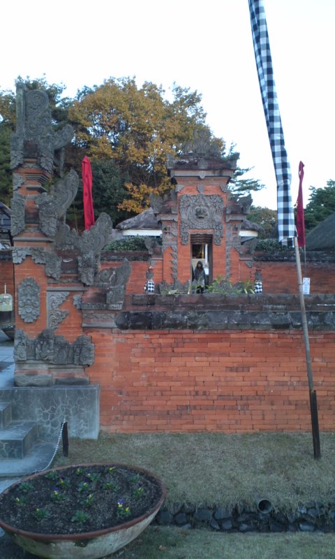 121115_1615~01.jpg