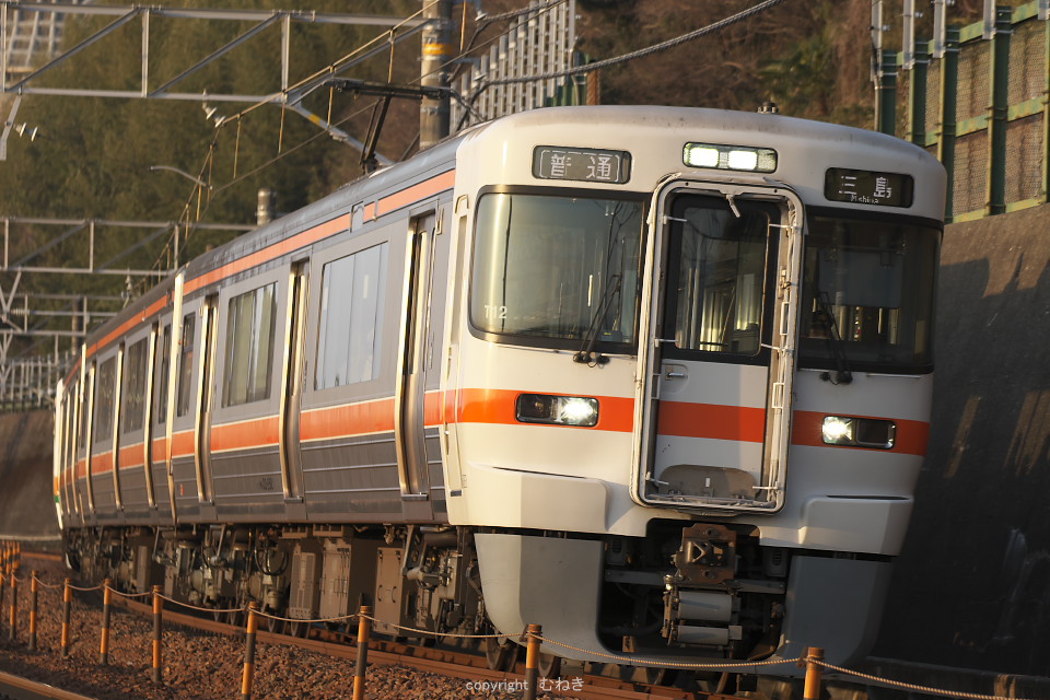 313系 JapaneseClass.jp