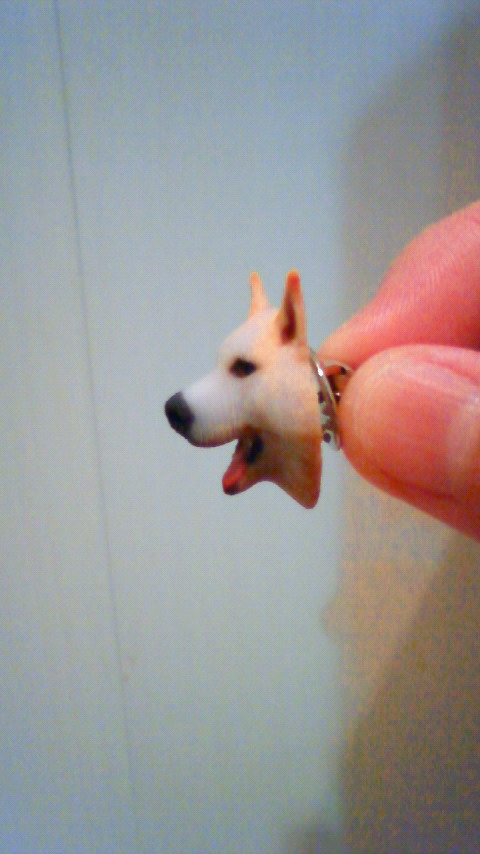 201108261630000.jpg