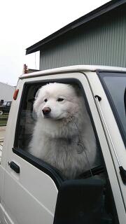 20130422_072330.jpg