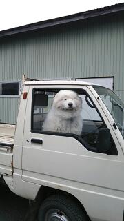 20130422_072311.jpg