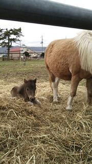 20130423_185348.jpg