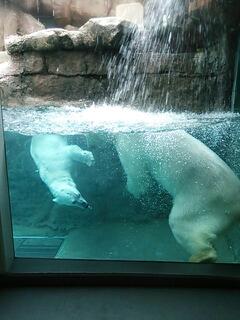 20130511_215229.jpg