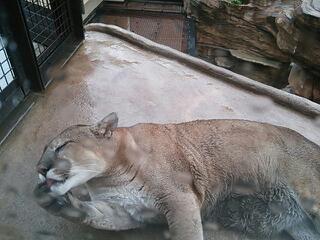 20130511_215157.jpg