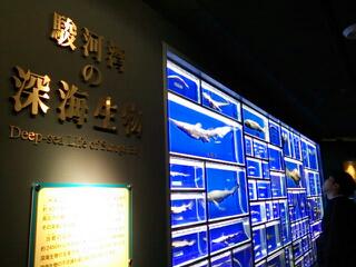 20130512_094823.jpg