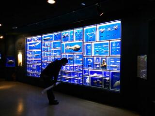 20130512_094840.jpg