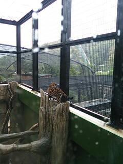 20130512_094905.jpg