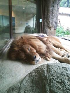 20130512_094952.jpg