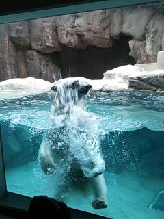 20130512_095021.jpg