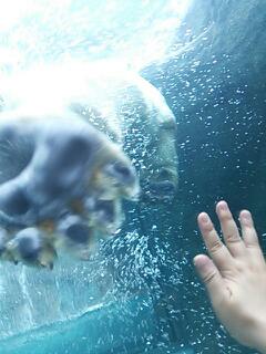 20130512_095037.jpg