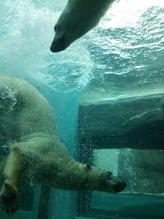 20130512_095108.jpg
