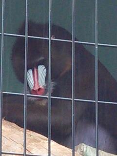 20130512_095119.jpg