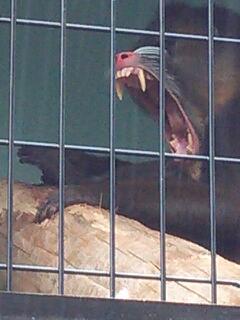20130512_095126.jpg