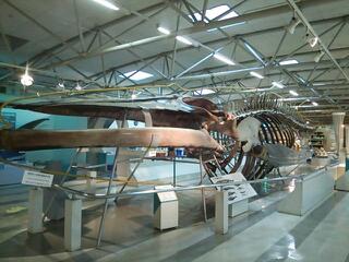 20130512_095147.jpg