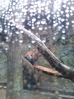 20130512_095220.jpg