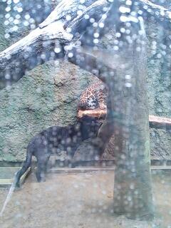 20130512_095229.jpg