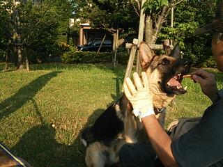 20130609_215715.jpg
