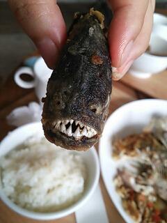 20130622_170824.jpg