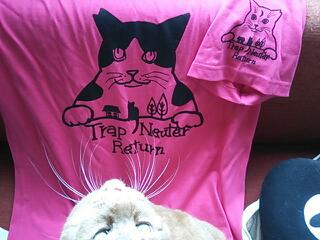20130727_082116.jpg