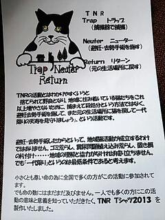 20130727_082916.jpg