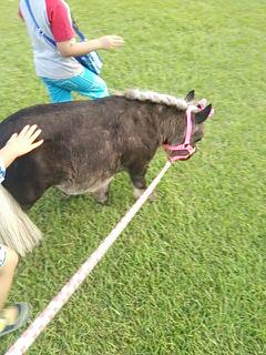 20130816_230625.jpg