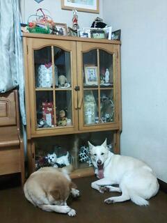 20130819_093834.jpg